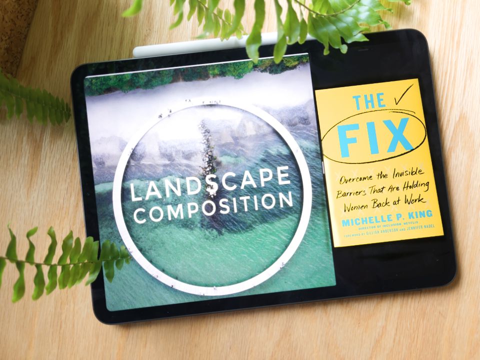 The Fix and Landscape Composition | March Book Reviews